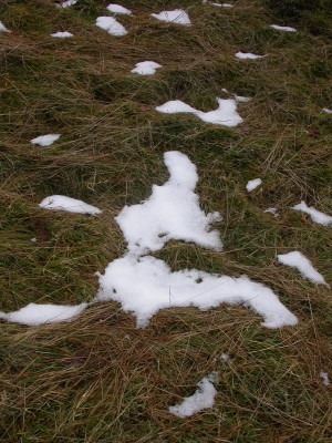 restos nieve.jpg