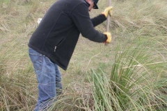 Esteban eliminando plumeros en Zeluán, 18.11.10