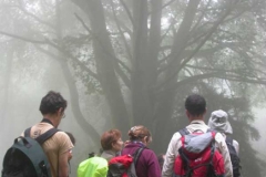 Excursión a la tejeda del Sueve, 10.06.12