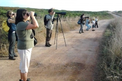 Excursión por la península de Nieva, 07.10.12