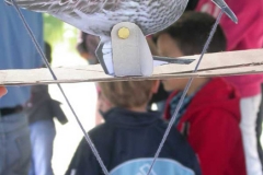 Manualidad de taller en el Día de las Aves Migratorias, 12.05.13