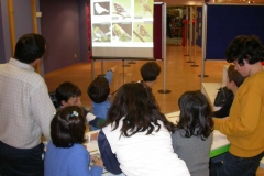 Taller de identificación de aves, 27.12.11