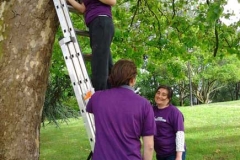 Poniendo cajas nido en Llaranes, Avilés, 26.05.12