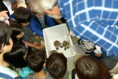 Charla sobre atención a animales, Taborneda, Illas, 06.06.19