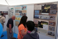 Exposiciones en Feria Bitacora Avilés 02.08.15. (1)