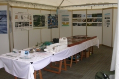 Exposiciones en Feria Bitacora Avilés 02.08.15. (2)