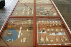 Exposiciones en Feria Bitacora Avilés 02.08.15. (3)