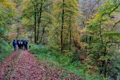 Ruta foces del Infierno 12.11.17 (1)