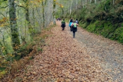 Ruta foces del Infierno 12.11.17 (3)