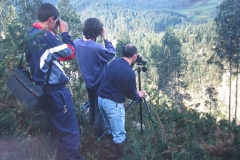 Vigilancia nido halcón en Corvera, 1999