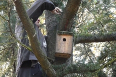 revision de nidales en Llaranes 27.11.16